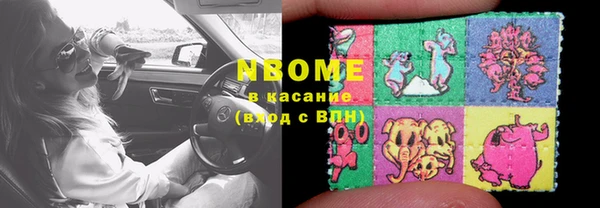гашик Богородск