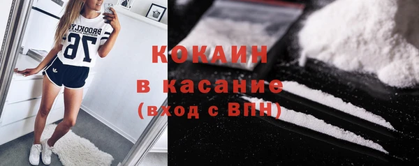 дурь Бородино