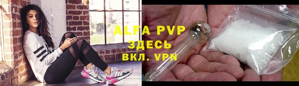дурь Бородино