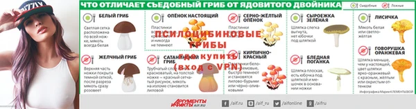 ГАЛЛЮЦИНОГЕННЫЕ ГРИБЫ Богданович