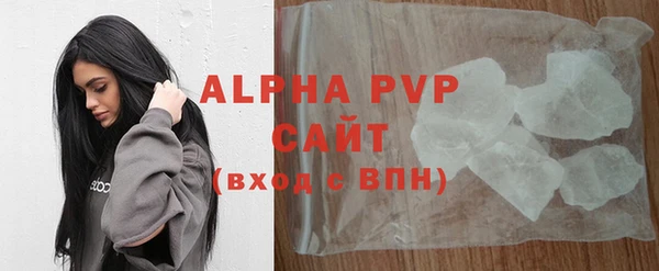 ГАЛЛЮЦИНОГЕННЫЕ ГРИБЫ Богданович