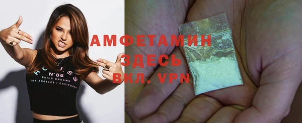 дурь Бородино