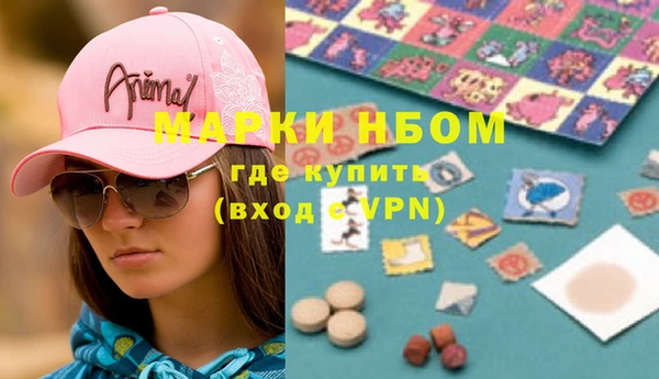 дурь Бородино