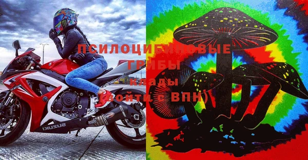 дмт Бронницы