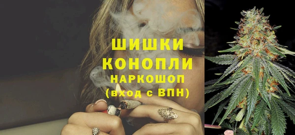 ГАЛЛЮЦИНОГЕННЫЕ ГРИБЫ Богданович