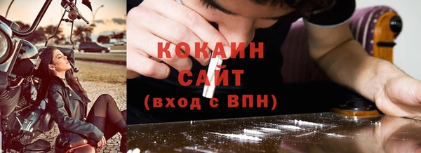 дурь Бородино