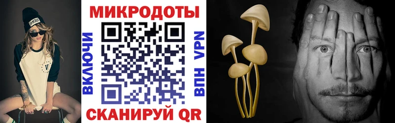 Галлюциногенные грибы Cubensis Ленинградская